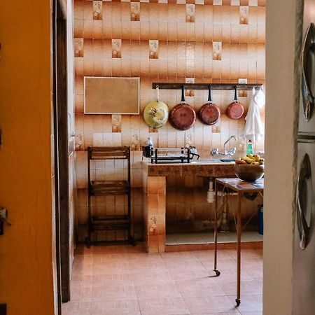 Sunshine House - Made By Artists Villa Oaxaca Exterior foto