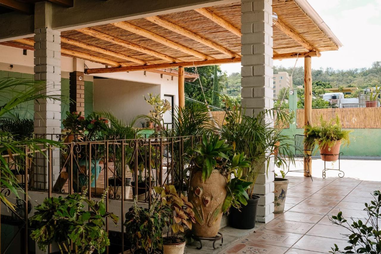 Sunshine House - Made By Artists Villa Oaxaca Exterior foto